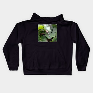 Dragonfly Kids Hoodie